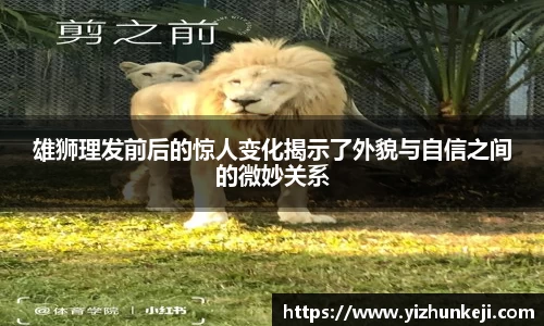 雄狮理发前后的惊人变化揭示了外貌与自信之间的微妙关系